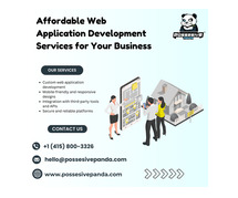 Affordable Web Application Development Services for Your Business