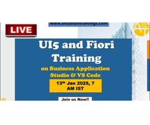 SAP UI5 and Fiori Training