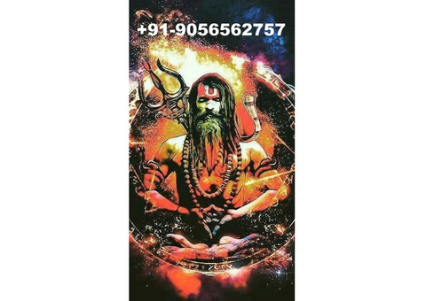 Lost Love Back Vashikaran Expert Astrologer +91-9056562757