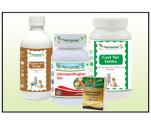 Natural Cure For DCM In Dogs - DCM Care Pack By Planet Ayurveda