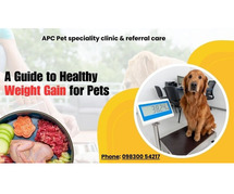 APC Pet Clinic Best Veterinary Clinic In Kolkata