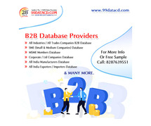 B2B Database Provider Company in India