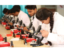 BSc in Forensic Science – Top Colleges & Career Prospects