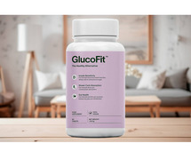 Glucofit Dragons Den Transform Your Health with Glucofit – Featured on Dragons Den!