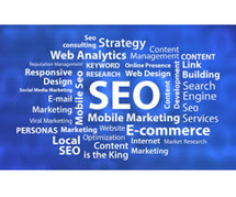 Professional SEO Services for Driving Traffic, Leads, & Sales