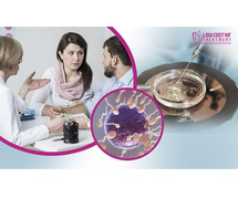 Explore the Cost of IVF Treatment in Bangalore with Low Cost IVF Treatment