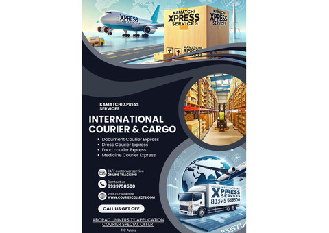 INTERNATIONAL COURIER SERVICE VELACHERY 8939758500