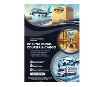 INTERNATIONAL COURIER SERVICE VELACHERY 8939758500