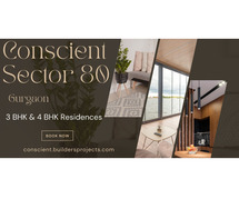 Conscient Sector 80 Gurgaon -  Converging Convenience With Luxury