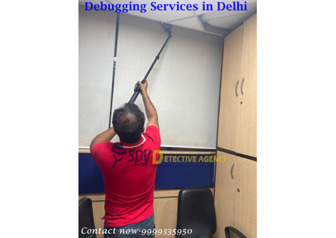 Debugging services in Delhi