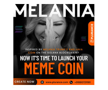 Meme Coin Development: Launch Your Unique Coin with Plurance!