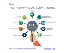 SEO services company in Noida