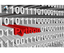 Information Security With Python