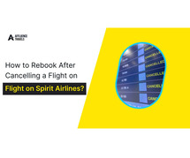 Rebook Spirit Airlines