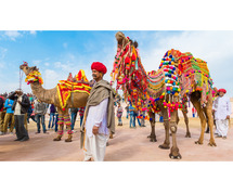 Unforgettable Family Adventures in Rajasthan: A Complete Travel Guide