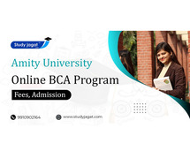 Amity University Online BCA Program