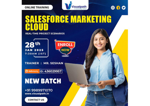 Salesforce Marketing Cloud Online Training New Batch