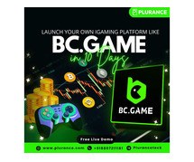 Start Your Casino Empire With Our Budget Friendly BC Game Clone Script