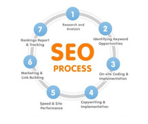 Professional SEO to enhance site authority