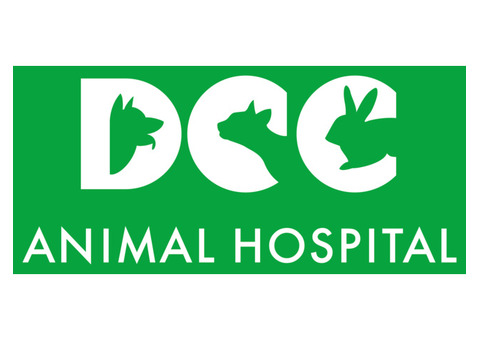 Best Pet Clinic in Noida - DCC Animal Hospital