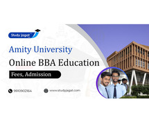 Amity University  Online BBA Education