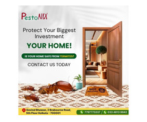 Protect Your Home from Termites | PestoNIX Pest Control