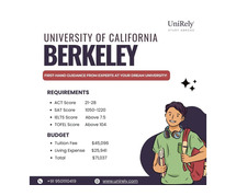 UC Berkeley international students