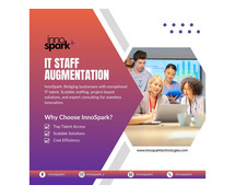 IT Staff Augmentation Companies in India