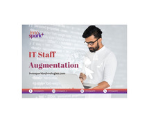 IT Staff Augmentation Services in India