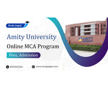 Amity University Online MCA Education