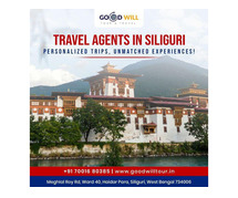 Travel Agents in Siliguri | Goodwill Tour and Travel