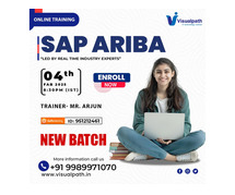 SAP Ariba Up Coming Online New Batch 04th Feb