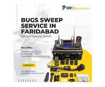 Bug  Sweeping services  in Faridabad