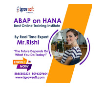 SAP HANA Online Training Institute in Ameerpet  | Igrowsoft