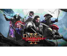 Divinity Original Sin Laptop / Desktop Computer Game