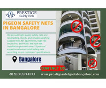 Pigeon Safety Nets In Bangalore