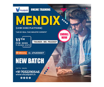 Online New Batch On - Mendix