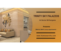 Trinity Sky Palazzos Sector 88 Gurgaon -   Where Every Day Feels Like a Vacation