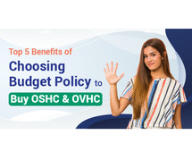 Top 5 Benefits of Choosing Budget Policy to Buy OSHC & OVHC