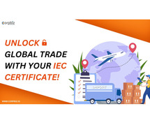 Need IEC Registration? We Make It Simple and Fast!