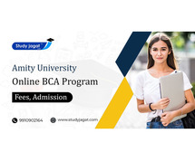 Amity University Online BCA Education Admission