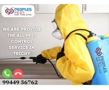 Best Pest control in Trichy