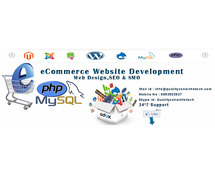 How to Choose the Right Magento Ecommerce Website Design Agency?