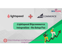 Lightspeed Bigcommerce Integration - No Setup Fee