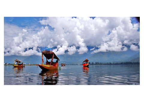 Kashmir tour package by Naturewings