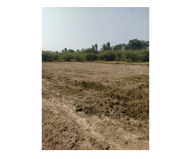 DTCP APPROVED PLOTS FOR SALE AT SEVAPPET