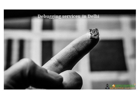 Debugging services in Delhi