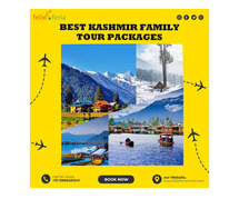 Best Kashmir Family Tour Packages | Felix Feria Travels