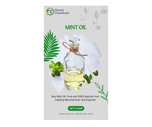 Mint Oil Suppliers in India