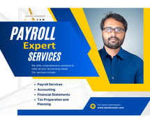 Payroll Expert Services Avalable